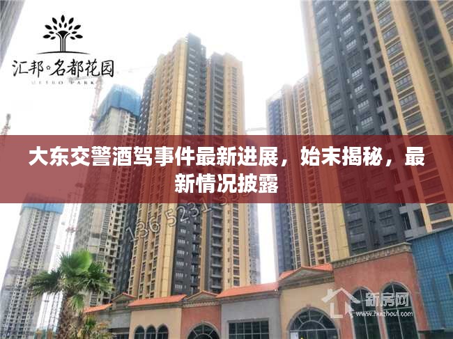 大东交警酒驾事件最新进展，始末揭秘，最新情况披露