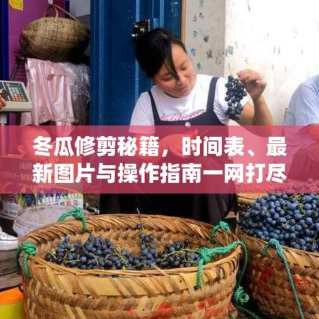 冬瓜修剪秘籍，时间表、最新图片与操作指南一网打尽！