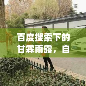 百度搜索下的甘霖雨露，自然与人文交融之美探索