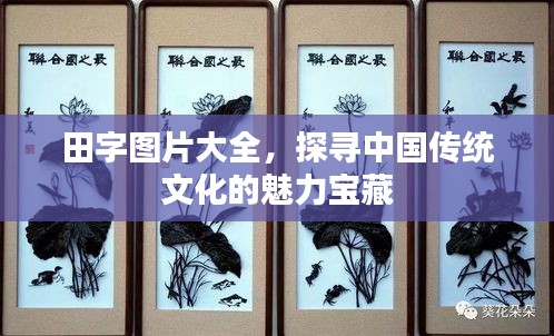 田字图片大全，探寻中国传统文化的魅力宝藏