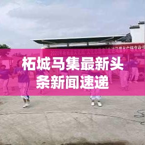 柘城马集最新头条新闻速递