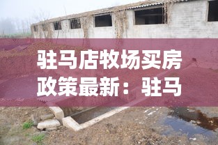 驻马店牧场买房政策最新：驻马店有牧原养猪场吗 