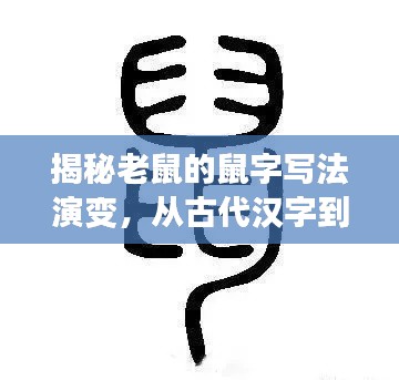 揭秘老鼠的鼠字写法演变，从古代汉字到现代书写规范探索