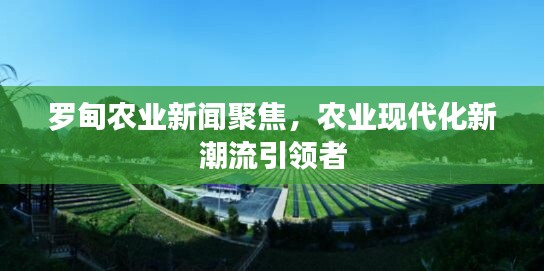 无冬无夏 第2页