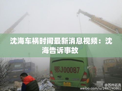 沈海车祸时间最新消息视频：沈海告诉事故 