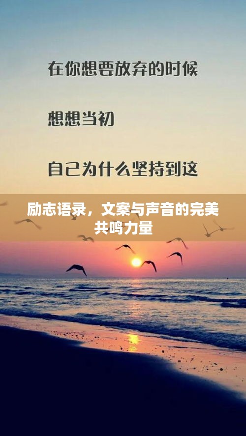月里嫦娥 第2页