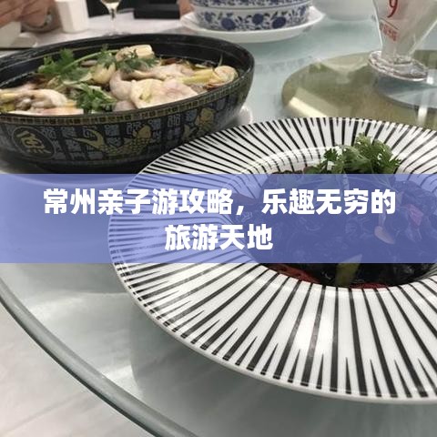 常州亲子游攻略，乐趣无穷的旅游天地