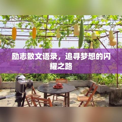 励志散文语录，追寻梦想的闪耀之路