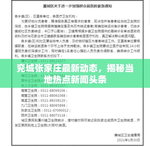 兖城张家庄最新动态，揭秘当地热点新闻头条