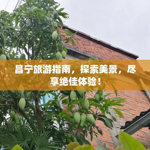 昌宁旅游指南，探索美景，尽享绝佳体验！