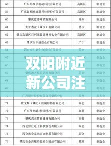 双阳附近新公司注册榜单揭晓，排名揭秘与热门企业盘点