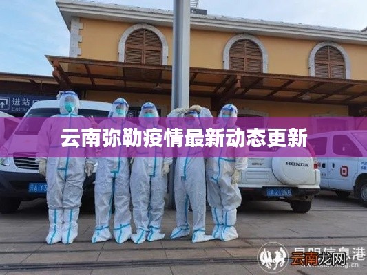 云南弥勒疫情最新动态更新