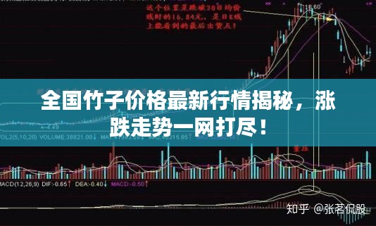 全国竹子价格最新行情揭秘，涨跌走势一网打尽！