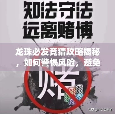 龙珠必发竞猜攻略揭秘，如何警惕风险，避免非法赌博陷阱