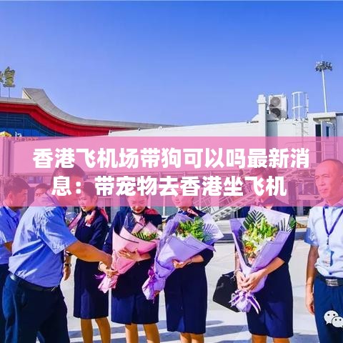 香港飞机场带狗可以吗最新消息：带宠物去香港坐飞机 