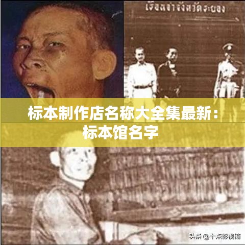 标本制作店名称大全集最新：标本馆名字 
