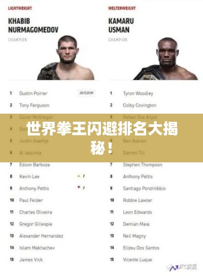 世界拳王闪避排名大揭秘！