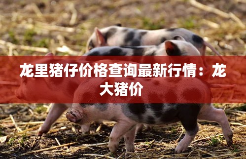 龙里猪仔价格查询最新行情：龙大猪价 
