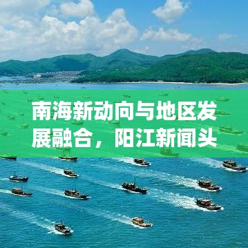 南海新动向与地区发展融合，阳江新闻头条聚焦地区发展动态
