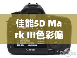 佳能5D Mark III色彩偏黄问题解析及应对方案探讨