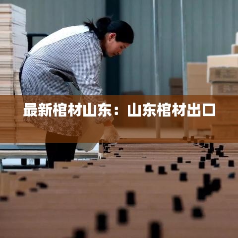 惊弓之鸟 第2页