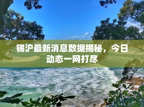 锡沪最新消息数据揭秘，今日动态一网打尽