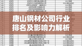 唐山钢材公司行业排名及影响力解析