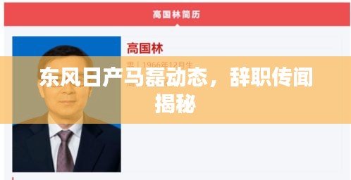 东风日产马磊动态，辞职传闻揭秘
