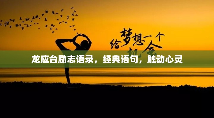 龙应台励志语录，经典语句，触动心灵