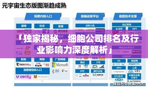 「独家揭秘，细胞公司排名及行业影响力深度解析」