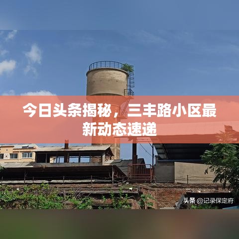 东张西望 第2页