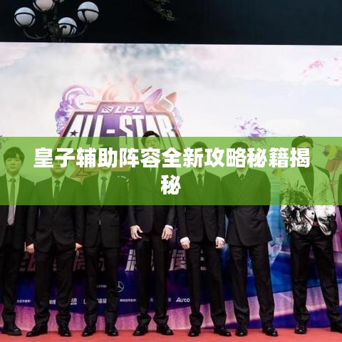 皇子辅助阵容全新攻略秘籍揭秘