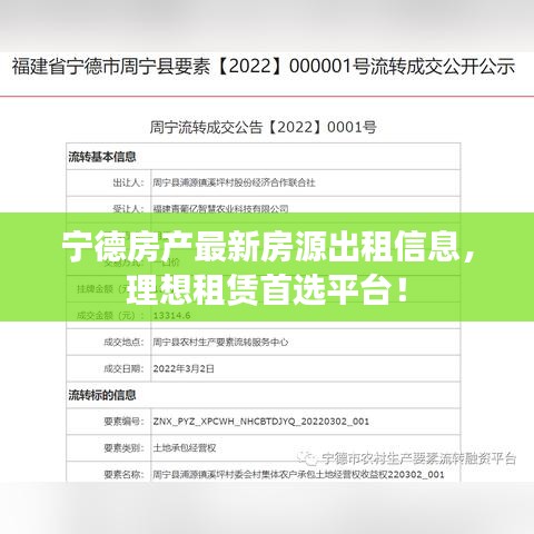 宁德房产最新房源出租信息，理想租赁首选平台！