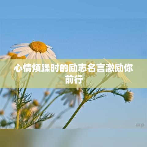心情烦躁时的励志名言激励你前行