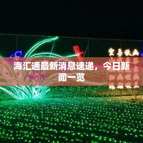 海汇通最新消息速递，今日新闻一览