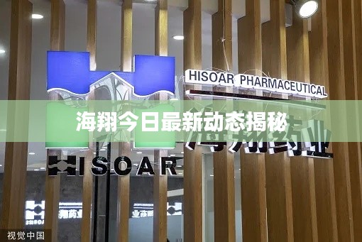 海翔今日最新动态揭秘