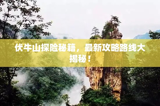 伏牛山探险秘籍，最新攻略路线大揭秘！