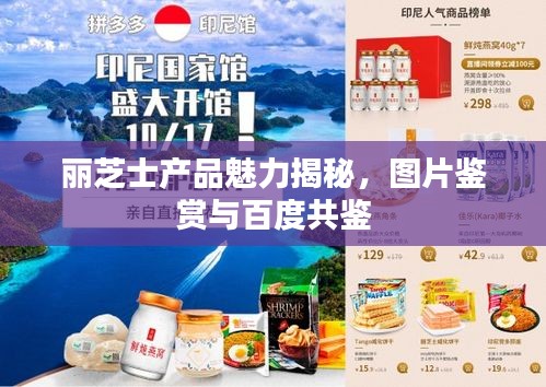 丽芝士产品魅力揭秘，图片鉴赏与百度共鉴