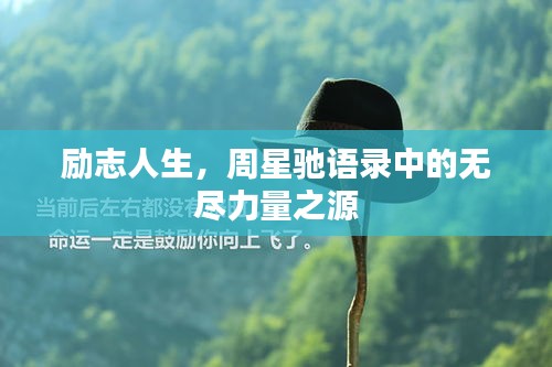 励志人生，周星驰语录中的无尽力量之源