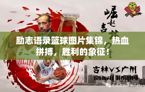 励志语录篮球图片集锦，热血拼搏，胜利的象征！