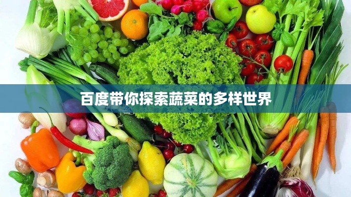 百度带你探索蔬菜的多样世界