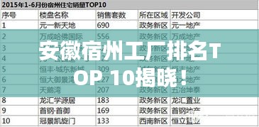 安徽宿州工厂排名TOP 10揭晓！