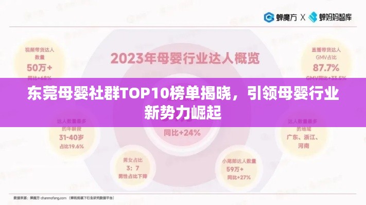 东莞母婴社群TOP10榜单揭晓，引领母婴行业新势力崛起
