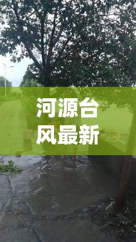 河源台风最新动态，今日天气状况及应对措施全解析