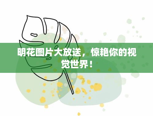 明花图片大放送，惊艳你的视觉世界！
