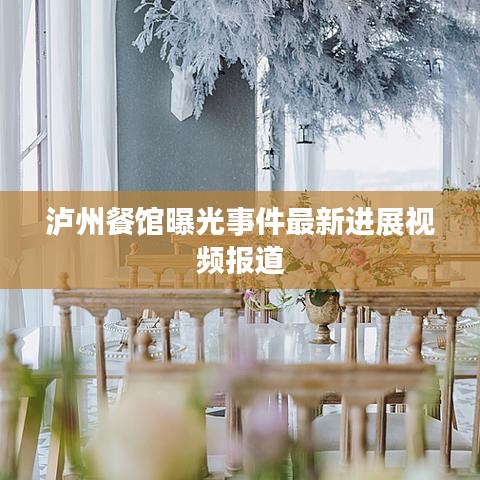 泸州餐馆曝光事件最新进展视频报道