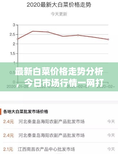 最新白菜价格走势分析，今日市场行情一网打尽