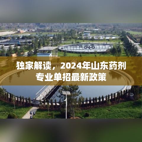 独家解读，2024年山东药剂专业单招最新政策