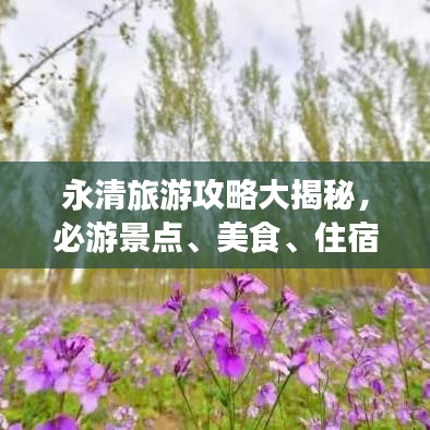 一往无前 第2页