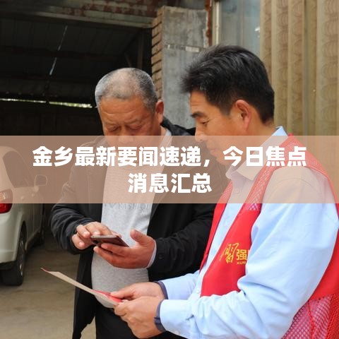金乡最新要闻速递，今日焦点消息汇总